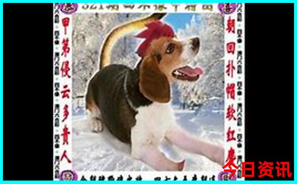 深圳避暑胜地有哪些